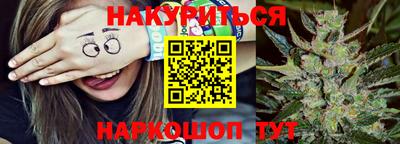 спиды Обь
