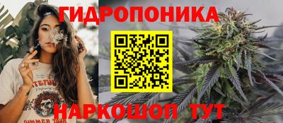 спиды Обь