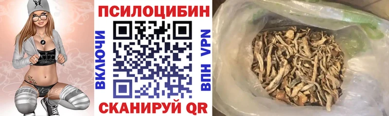blacksprut ссылка  Южно-Сахалинск  Псилоцибиновые грибы Psilocybe 