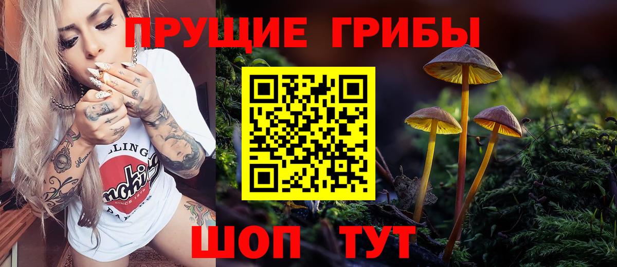где продают   Псилоцибиновые грибы ЛСД  Вход с VPN  Псилоцибиновые грибы MAGIC MUSHROOMS  Южно-Сахалинск 